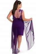 Kurzes übergroßes Abendkleid Violette NZ8316