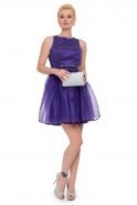 Kurzes Abendkleid Violette NA6180