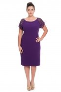Kurzes übergroßes Abendkleid Violette NZ8348