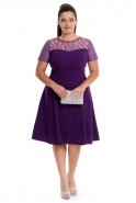 Kurzes Kleid in Übergröße Violette NZ8096