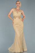 Abendkleid im Meerjungfrau-Stil Lang Gold ABU1857