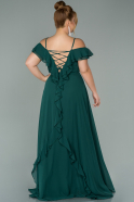 Kleider in Großen Größen Lang Chiffon Smaragdgrün ABU1892