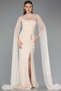 Standesamtkleid Lang Spitze Beige ABU5614
