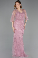 Abendkleid Lang Perlenbesetzt Puder ABU5798