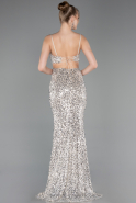 Abschlusskleid Lang Beige ABU5980