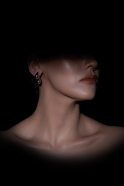 Ohrschmuck Gold-Silber BT1156