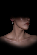 Ohrschmuck Gold DF1019
