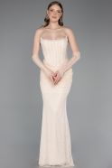 Beige Abendkleid İm Meerjungfrau-Stil Spitze Lang ABU5933
