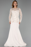 Abendkleid in Übergröße Lang Beige ABU6413