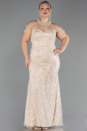 Abendkleid in Übergröße Lang Perlenbesetzt Beige ABU6632