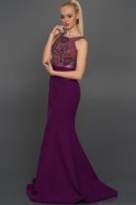 Langes Abendkleid Violette AN2394