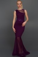 Langes Abendkleid Violette AR36854