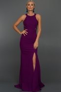 Langes Abendkleid Violette AN2402