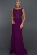 Langes Abendkleid Violette AN2476