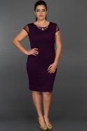 Kurzes Kleid in Übergröße Violette AR36862