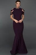 Langes Abendkleid Violette T2814