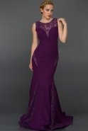 Langes Abendkleid Violette AN2401