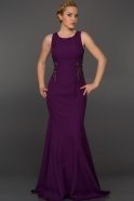 Langes Abendkleid Violette AN2404