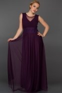 Langes Abendkleid Violette AR36824