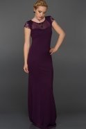 Langes Abendkleid Violette AR36883