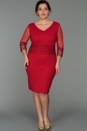 Kurzes Kleid in Übergröße Rot AR36849