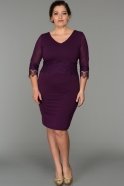 Kurzes Kleid in Übergröße Violette AR36849