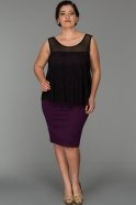 Kurzes übergroßes Abendkleid Violette AR38019