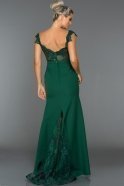 Abendkleid im Meerjungfrau-Stil Lang Smaragdgrün ABU013