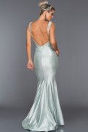 Abendkleid im Meerjungfrau-Stil Lang Blau ABU220