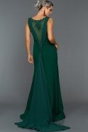 Abendkleid im Meerjungfrau-Stil Lang Smaragdgrün ABU348