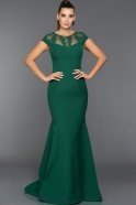 Langes Abendkleid Smaragdgrün AN2470