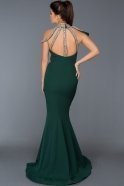 Abendkleid im Meerjungfrau-Stil Lang Smaragdgrün ABU218
