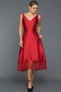 Kurzes Abendkleid Rot GG5545