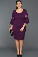Kurzes übergroßes Abendkleid Violette AR38163