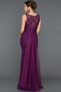 Langes Abendkleid Violette AN2493