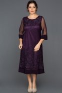 Plus Size Abendkleid Violette BC8886