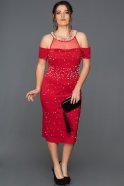Plus Size Abendkleid Rot AR37050