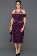 Plus Size Abendkleid Violette AR37050