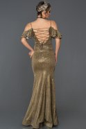 Langes Meerjungfrau-Abendkleid Violett ABU356