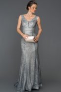 Abendkleid im Meerjungfrau-Stil Lang Grau ABU308