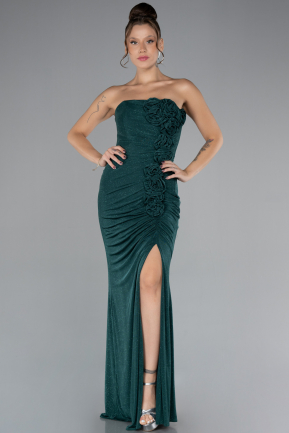 Abendkleid Lang ABU4225