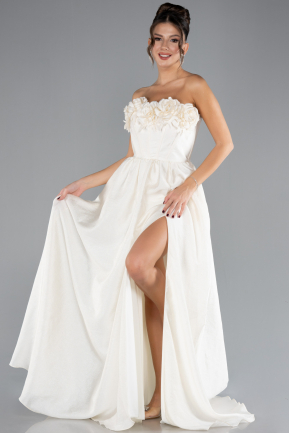 Standesamtkleid Lang Beige ABU4337