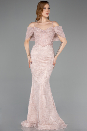 Abendkleid im Meerjungfrau-Stil Lang Spitze Puder ABU5822