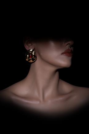 Ohrschmuck Braun-Gold DF1038