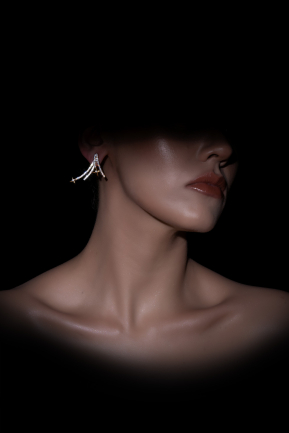 Ohrschmuck Gold DF1054