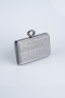 Abendtasche Laserschnitt Platin SH830