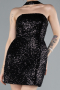 Schwarz Partykleid Mini ABK2201
