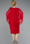 Partykleid in Übergröße Midi Rot ABK2383
