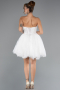 Brautkleid in Großen Größen Mini Spitze Weiß ABG165