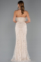 Abendkleid Lang Perlenbesetzt Beige ABU5477